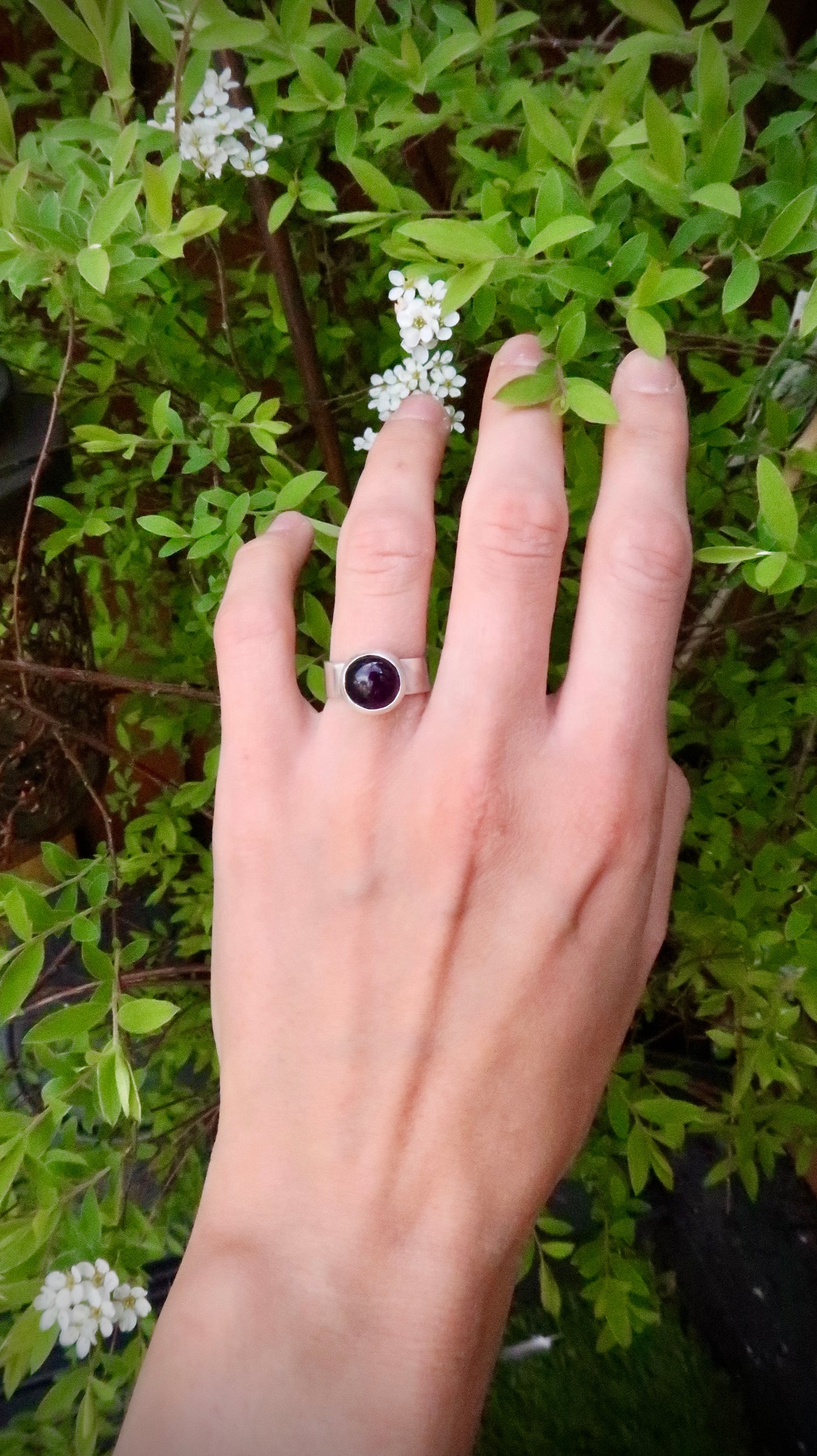 Iris Ring
