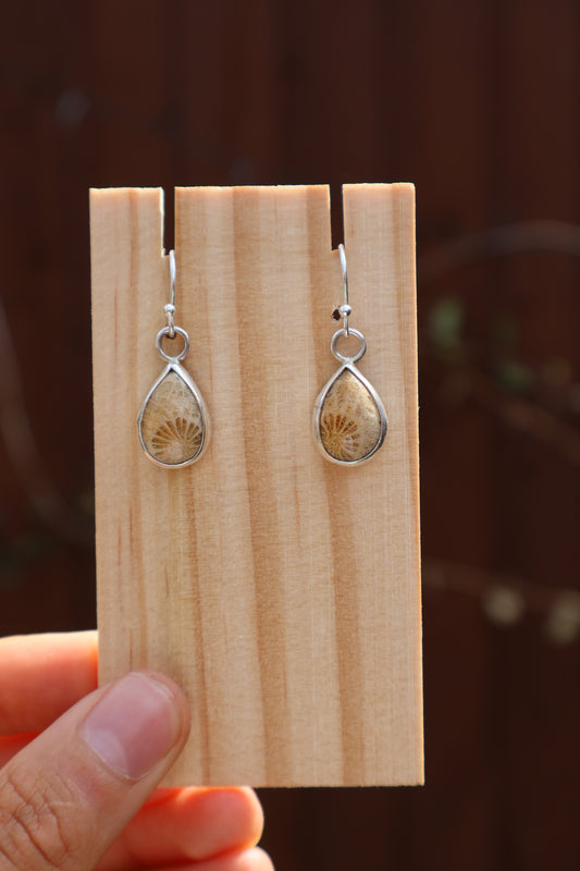 Fossilised Coral Sterling Silver Earrings