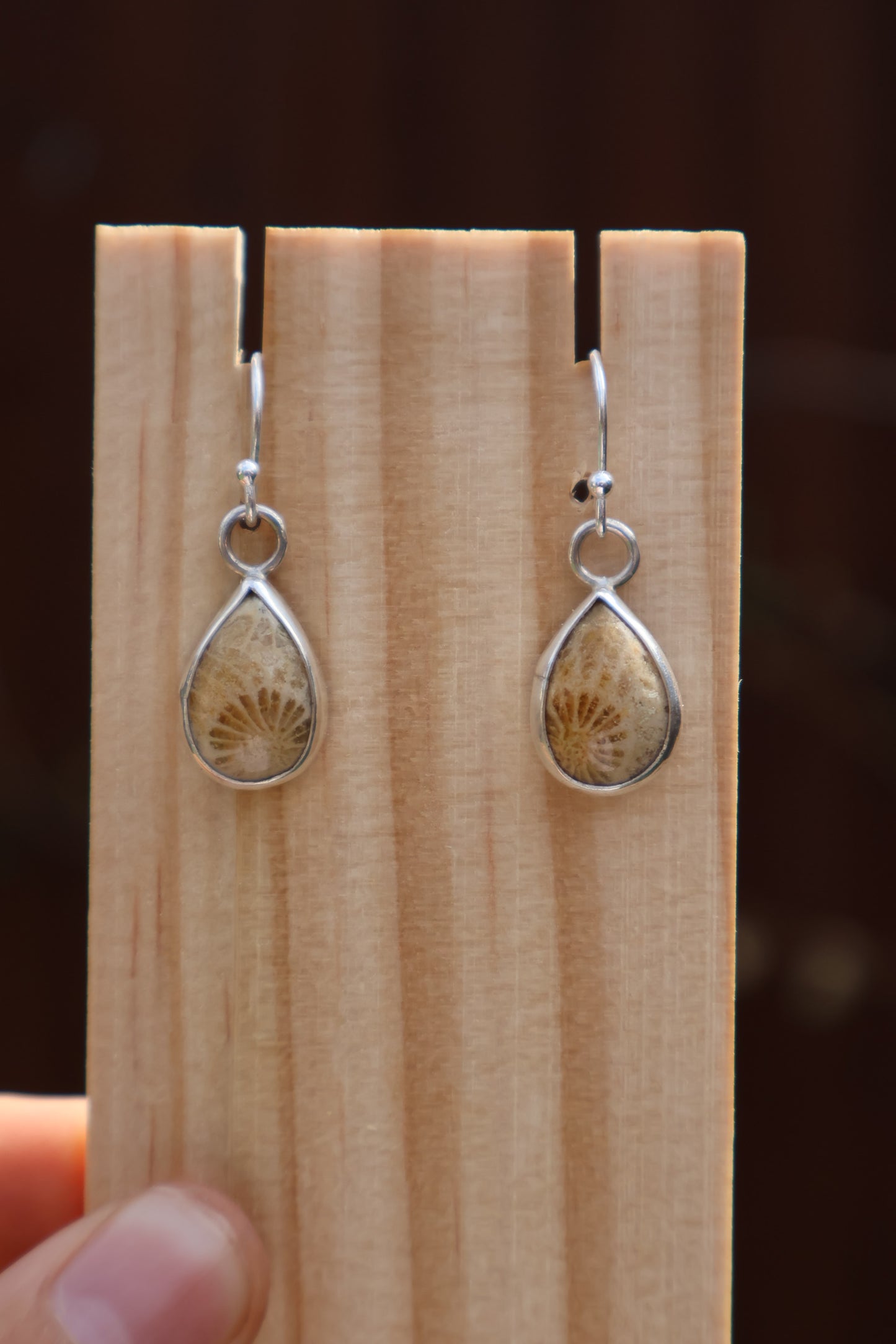 Fossilised Coral Sterling Silver Earrings